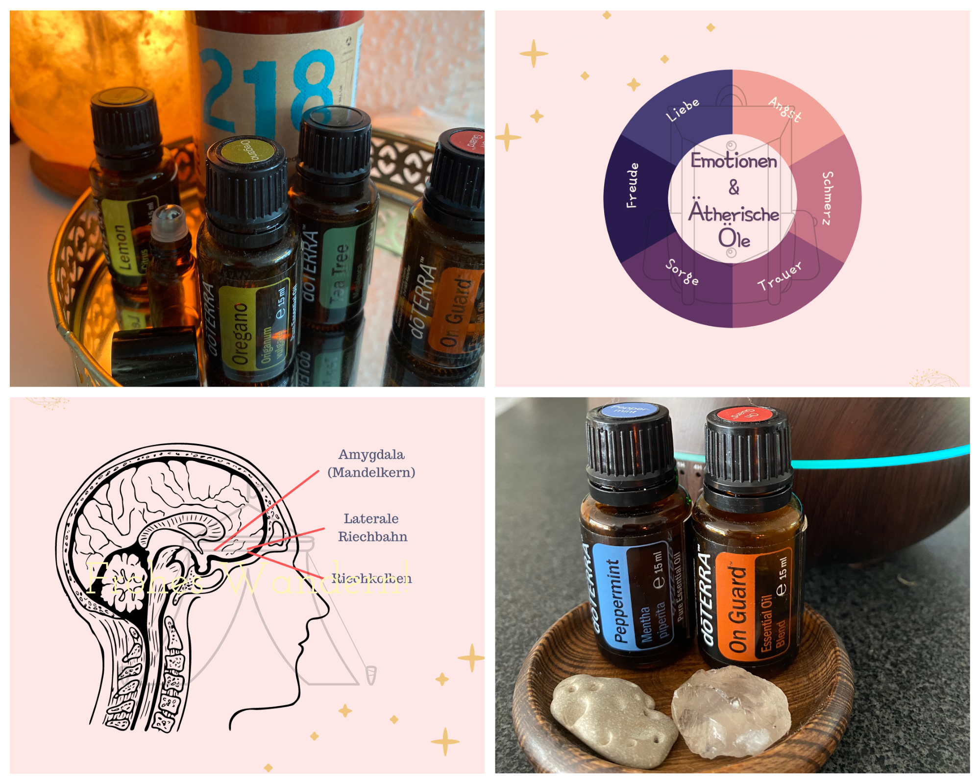 Website Oils